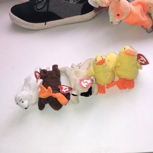 Teenie Beanie Baby Collection Bundle